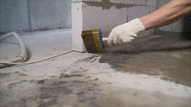 SJ Waterproofing Pros Waterproofing coverage map for Waterport, NY and surrounding area